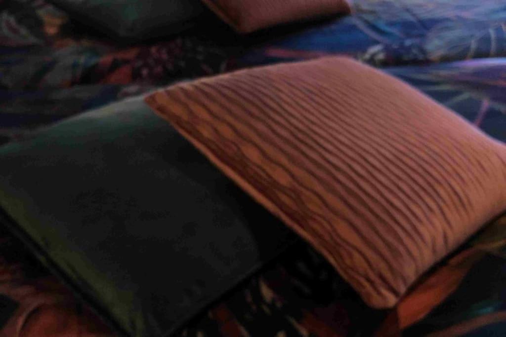 Bazien Luxe Kamer Bij Strand En Kreek Natuur En Veel Faciliteiten Westkapelle Ngoại thất bức ảnh